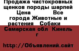 Продажа чистокровных щенков породы шарпей › Цена ­ 8 000 - Все города Животные и растения » Собаки   . Самарская обл.,Кинель г.